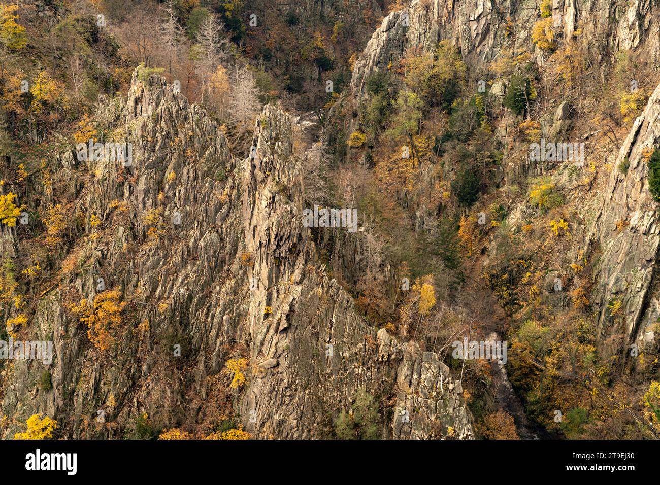 Blick von der Rosstrappe in das Bodetal im Harz bei Thale, Sachsen-Anhalt, Deutschland | Vista dal Rosstrappe alla Gola del Bode all'Harz Moun Foto Stock