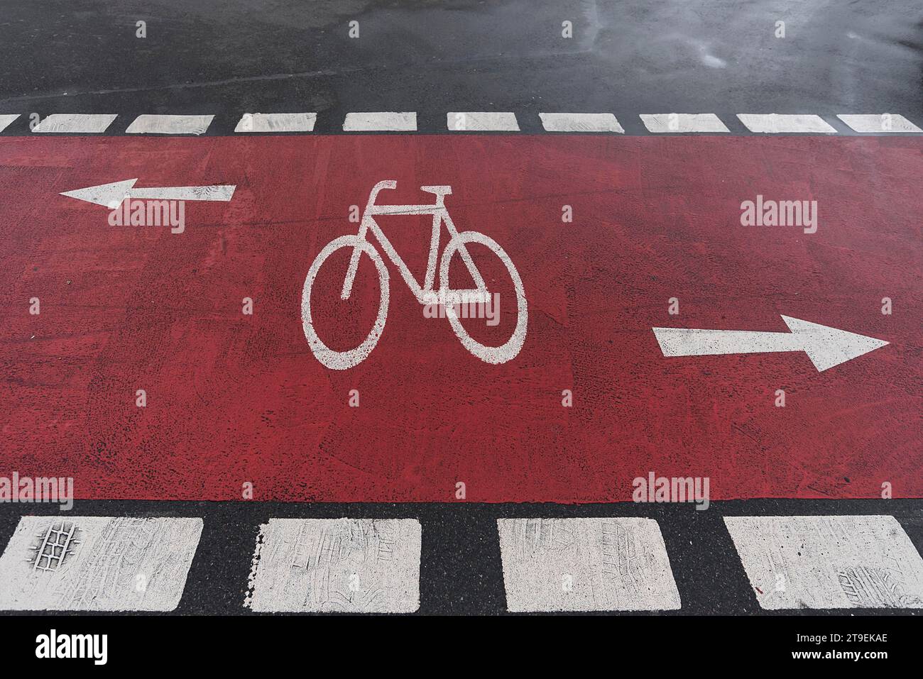 Pista ciclabile segnata in rosso su una strada distrettuale, Erlangen, Franconia media, Baviera, Germania Foto Stock