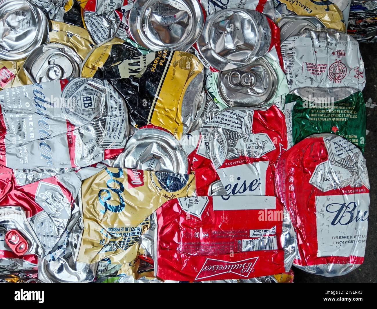 Vancouver, Canada - 17 agosto 2023: Primo piano delle lattine in alluminio frantumato da riciclare. Foto Stock