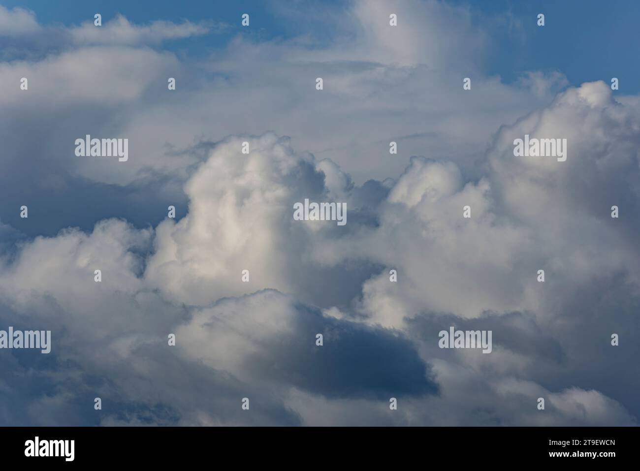 Soffice Puffy cumulus nuvola contro un cielo blu Foto Stock