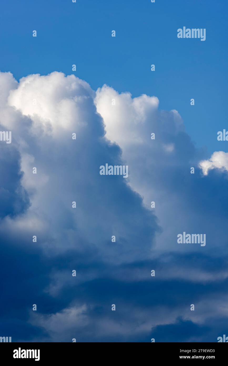 Soffice Puffy cumulus nuvola contro un cielo blu Foto Stock