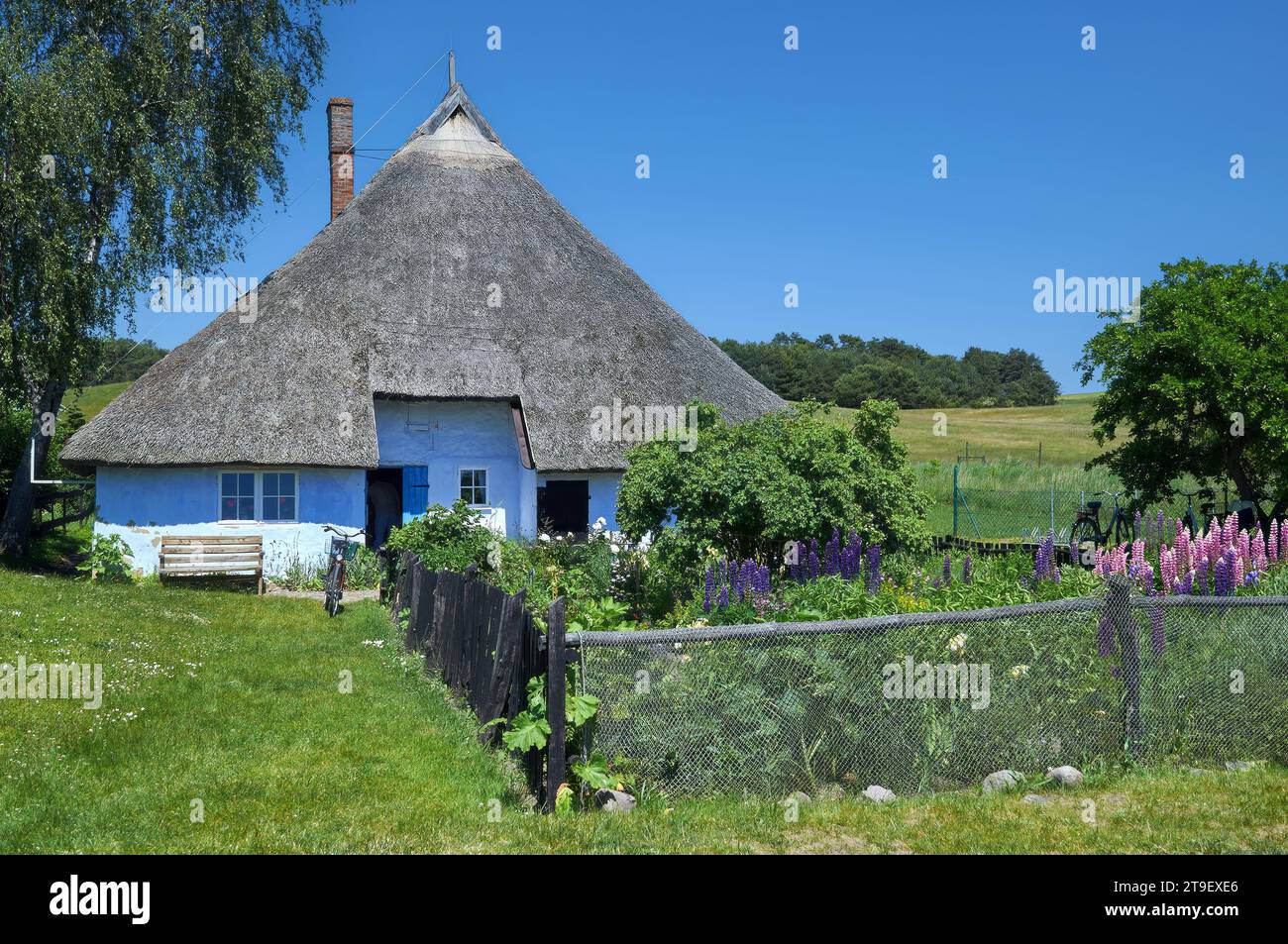 La storica Casa dei preti della Vedova chiamata Pfarrwitwenhaus, Gross Zicker, Ruegen, Mar baltico, Meclemburgo, Pomerania Occidentale, Germania Foto Stock