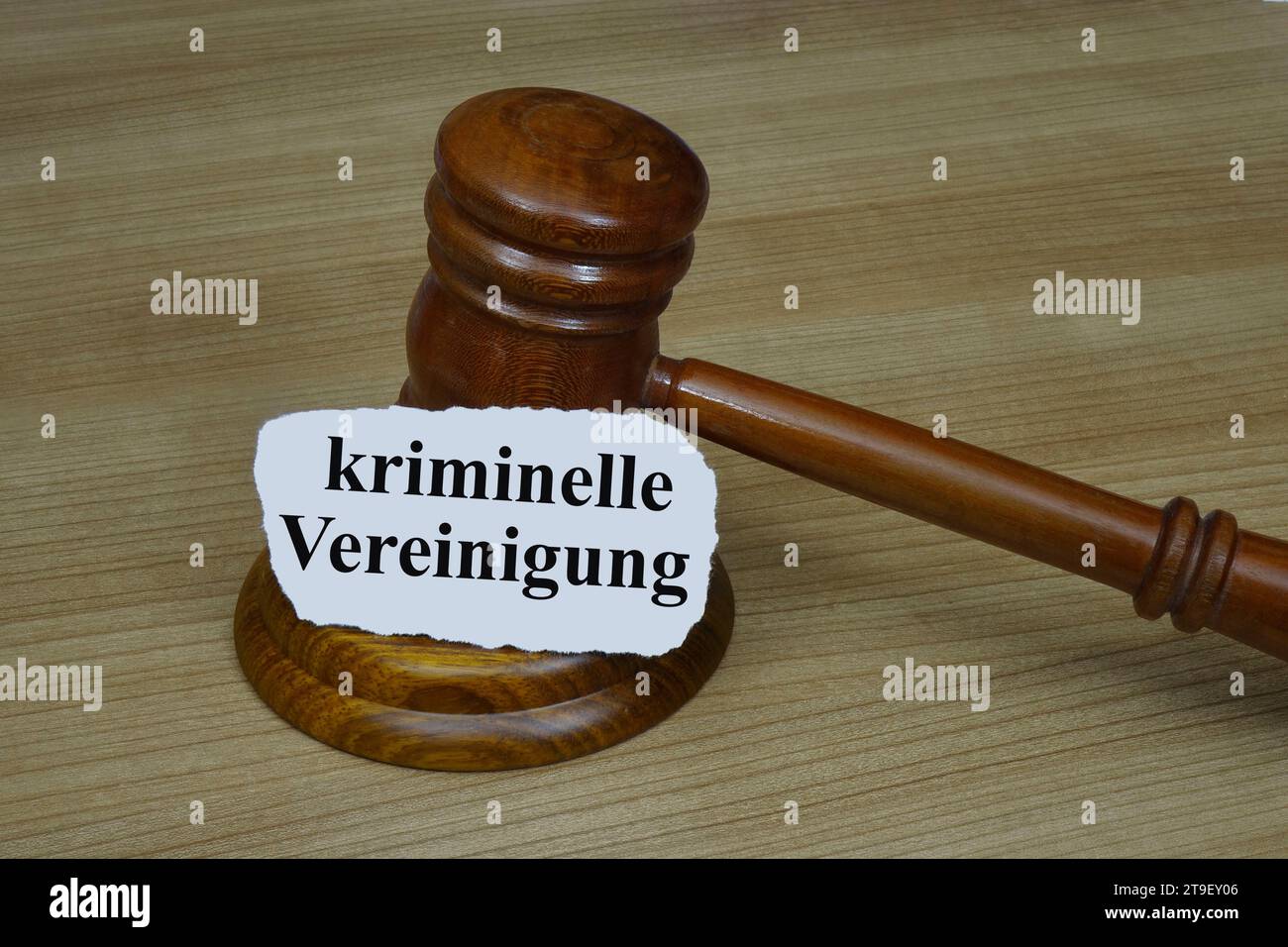 Richterhammer und kriminelle Vereinigung Richterhammer und kriminelle Vereinigung, 25.11.2023, Borkwalde, Brandenburg, Neben einem Richterhammer liegt der Schriftzug kriminelle Vereinigung. *** Giudici Gavel e organizzazione criminale giudici Gavel e organizzazione criminale, 25 11 2023, Borkwalde, Brandeburgo, accanto a un giudice Gavel si trova l'organizzazione criminale lettering Foto Stock