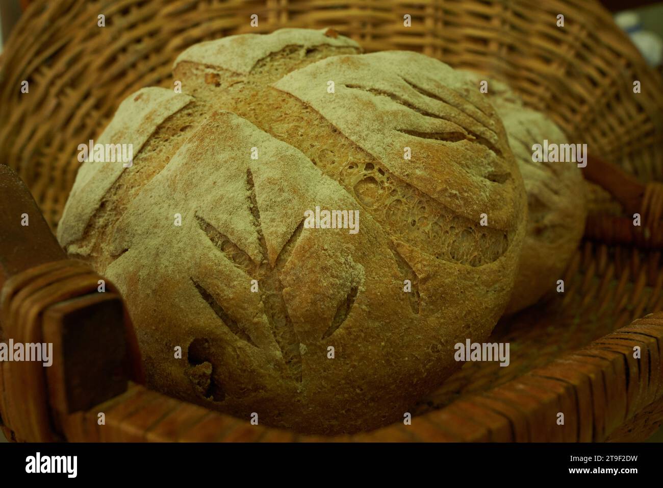 Seduzione in pasta di origine: Un accattivante ritratto della perfezione appena sfornata Foto Stock