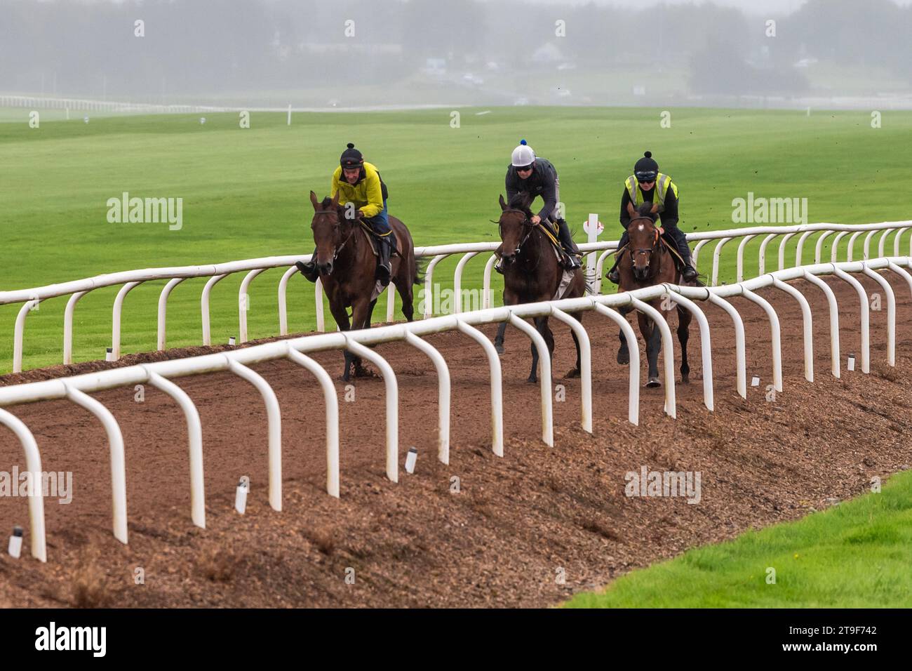 Bermingham Cameras sponsorizzò l'allenamento dei cavalli Harty Racing sui galoppi a Curragh, Co. Kildare, Irlanda. Foto Stock