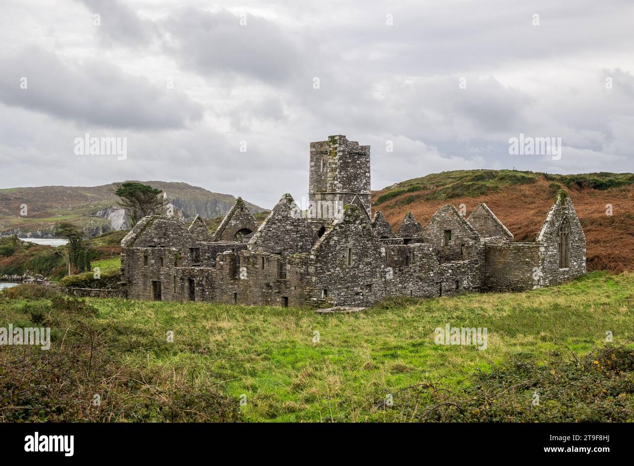 Rovine del convento francescano o "l'abbazia" su Sherkin Island, West Cork, Irlanda. Foto Stock