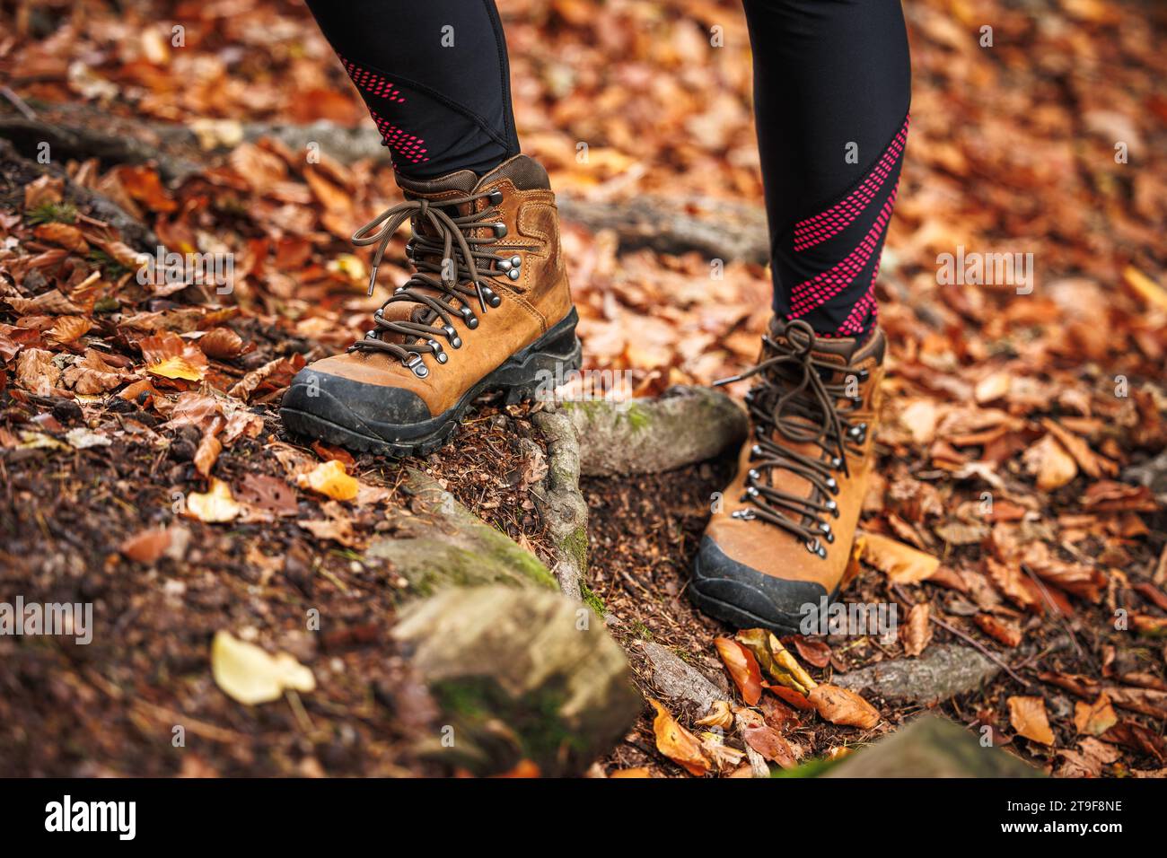 Scarpa da trekking in pelle. Donna con leggings cammina nella foresta autunnale. Abbigliamento sportivo Foto Stock