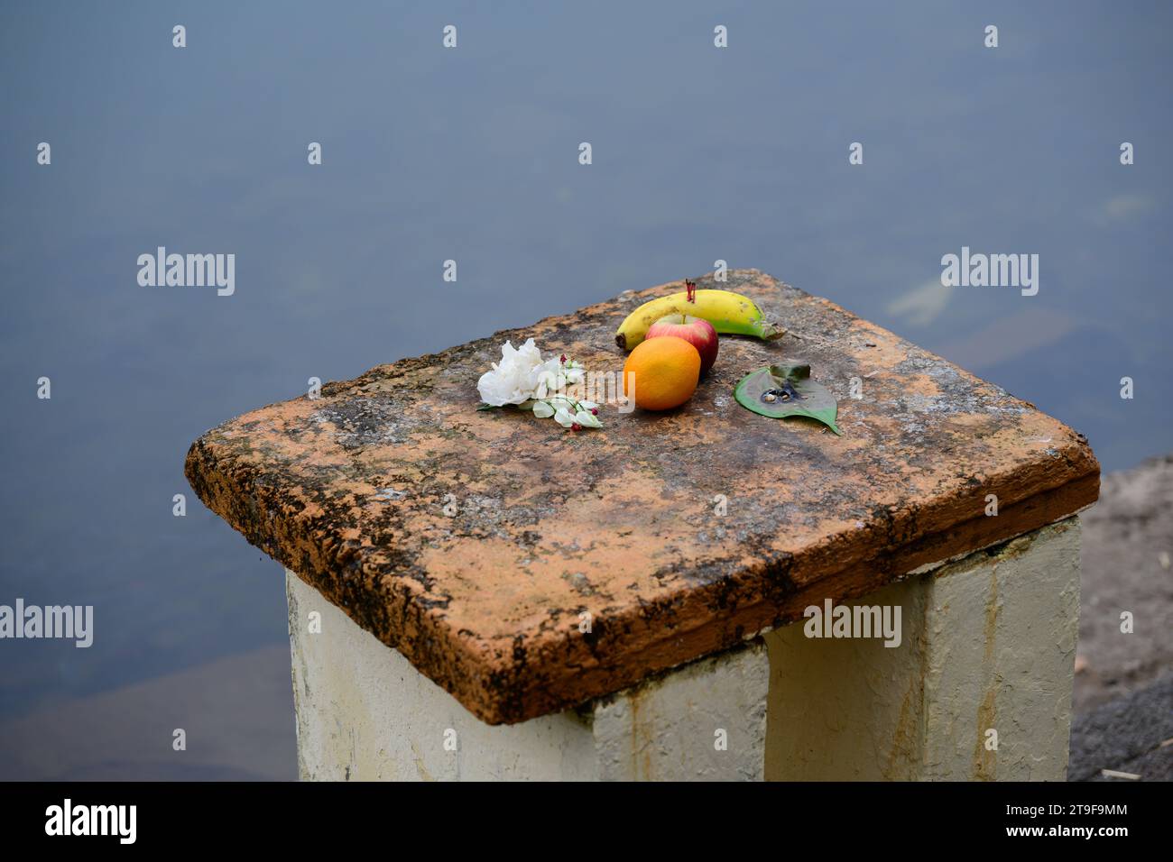 Offerta indù presentata a Mauritius al Ganga Talao o al Grand Bassin Sacred Lake con frutta e fiori Foto Stock