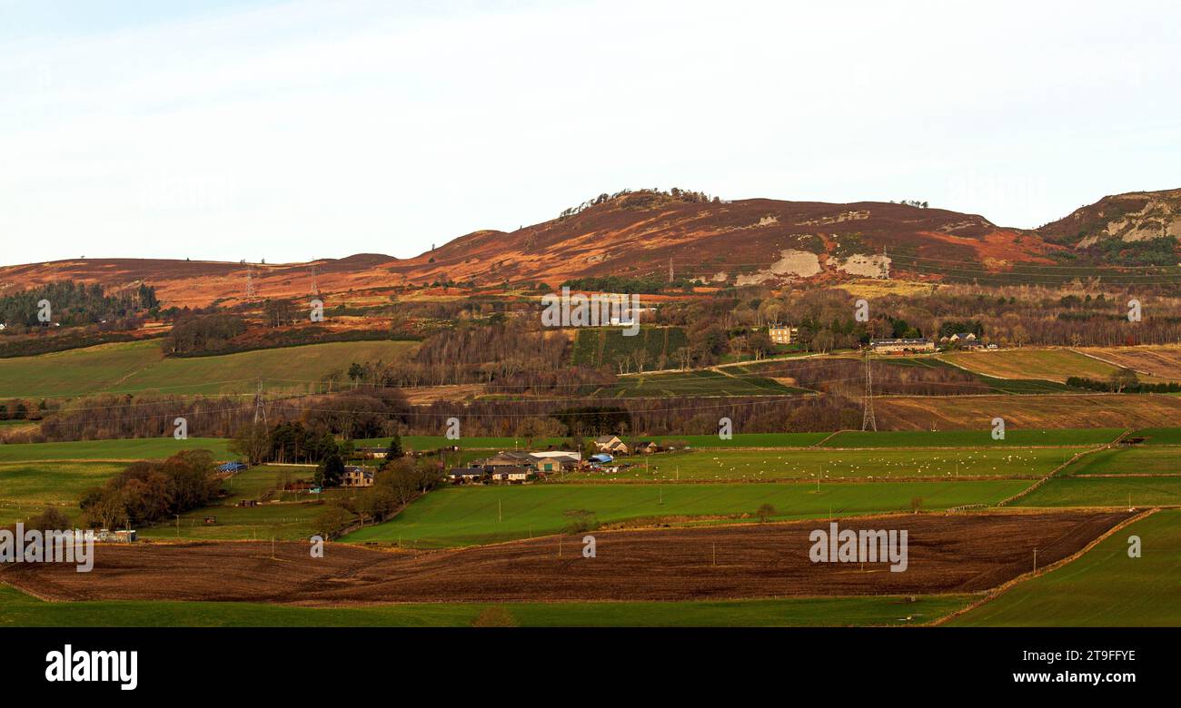 Dundee, Tayside, Scozia, Regno Unito. 25 novembre 2023. Meteo Regno Unito: Le temperature hanno raggiunto 1°C a causa del freddo e del gelo. Il sole invernale, con il freddo e il gelo, offre splendidi panorami sulle Sidlaw Hills e sulla Strathmore Valley nella campagna di Dundee. Crediti: Dundee Photographics/Alamy Live News Foto Stock