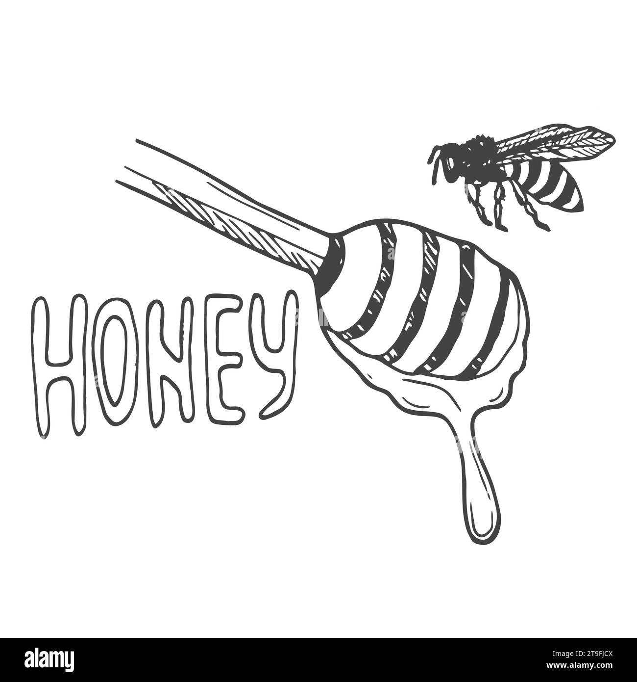 Scritta al miele circondata da api e fiori di doodle. Sfondo stilizzato vettoriale su sfondo bianco Illustrazione Vettoriale