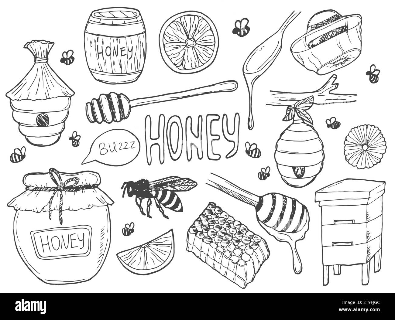 Raccolta di miele e apicoltura. Doodle, illustrazione di contorno. Set di api, barattoli di miele, alveare, fiori, favo e cucchiai di miele. Isolato disegnato a mano Illustrazione Vettoriale