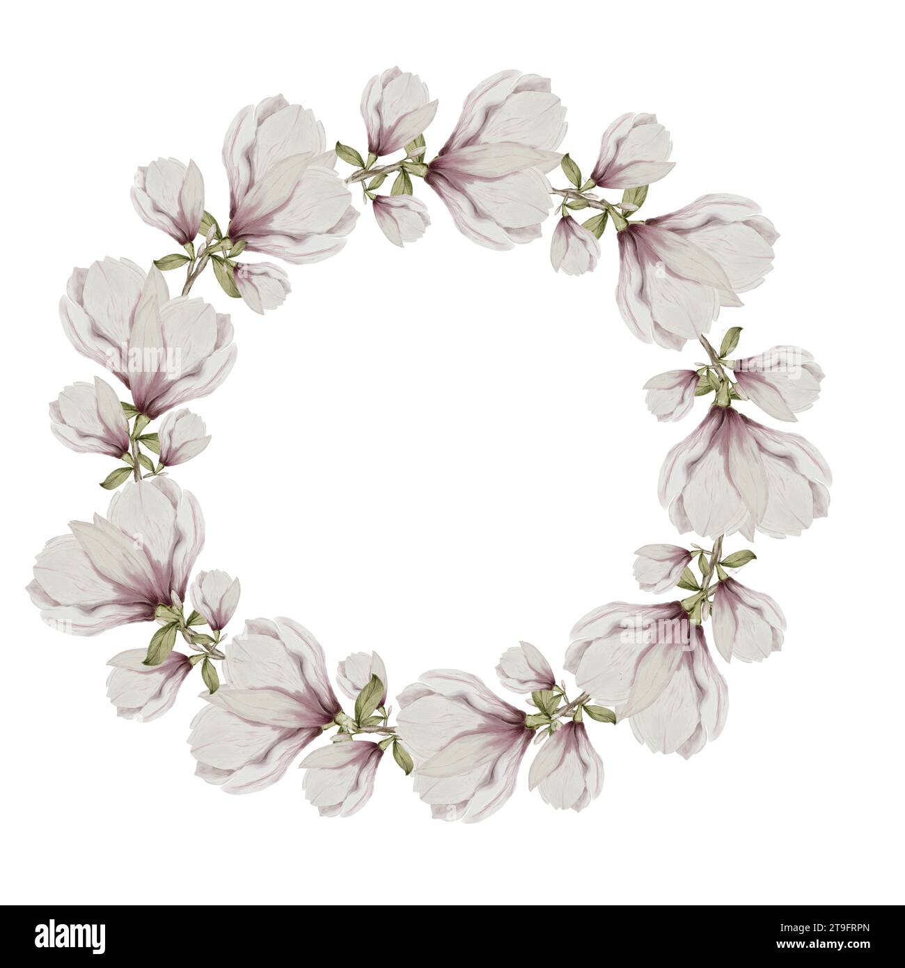Cornice rotonda ad acquerello e fiori di magnolia. Corona floreale con eleganti fiori su sfondo bianco isolato. Per la progettazione di schede e inviti per Foto Stock