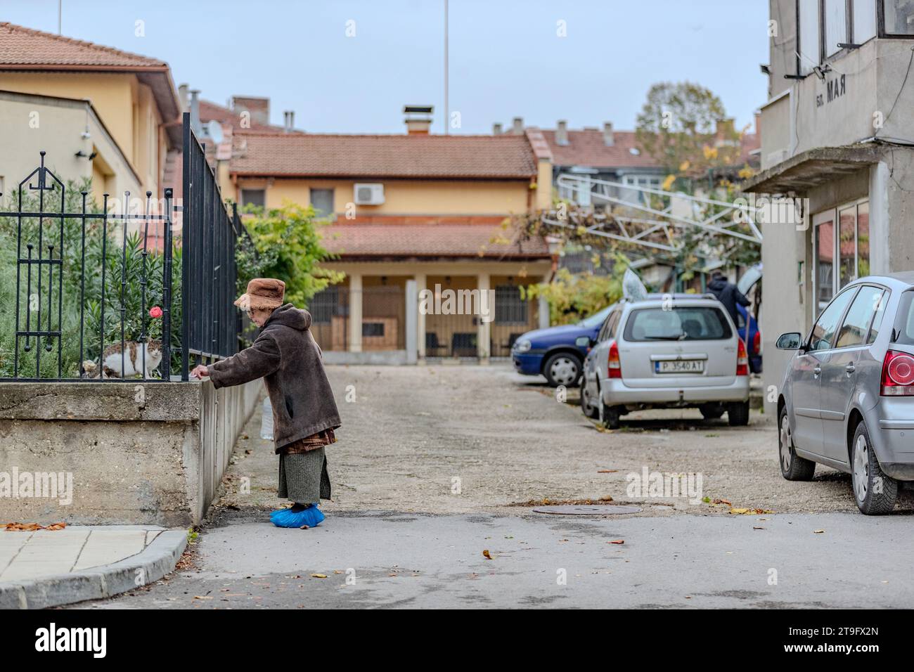 Una donna nutre i gatti a Ruse, Bulgaria, la mattina presto di giovedì 23 novembre 2023. (Foto VX/ Vudi Xhymshiti) Foto Stock