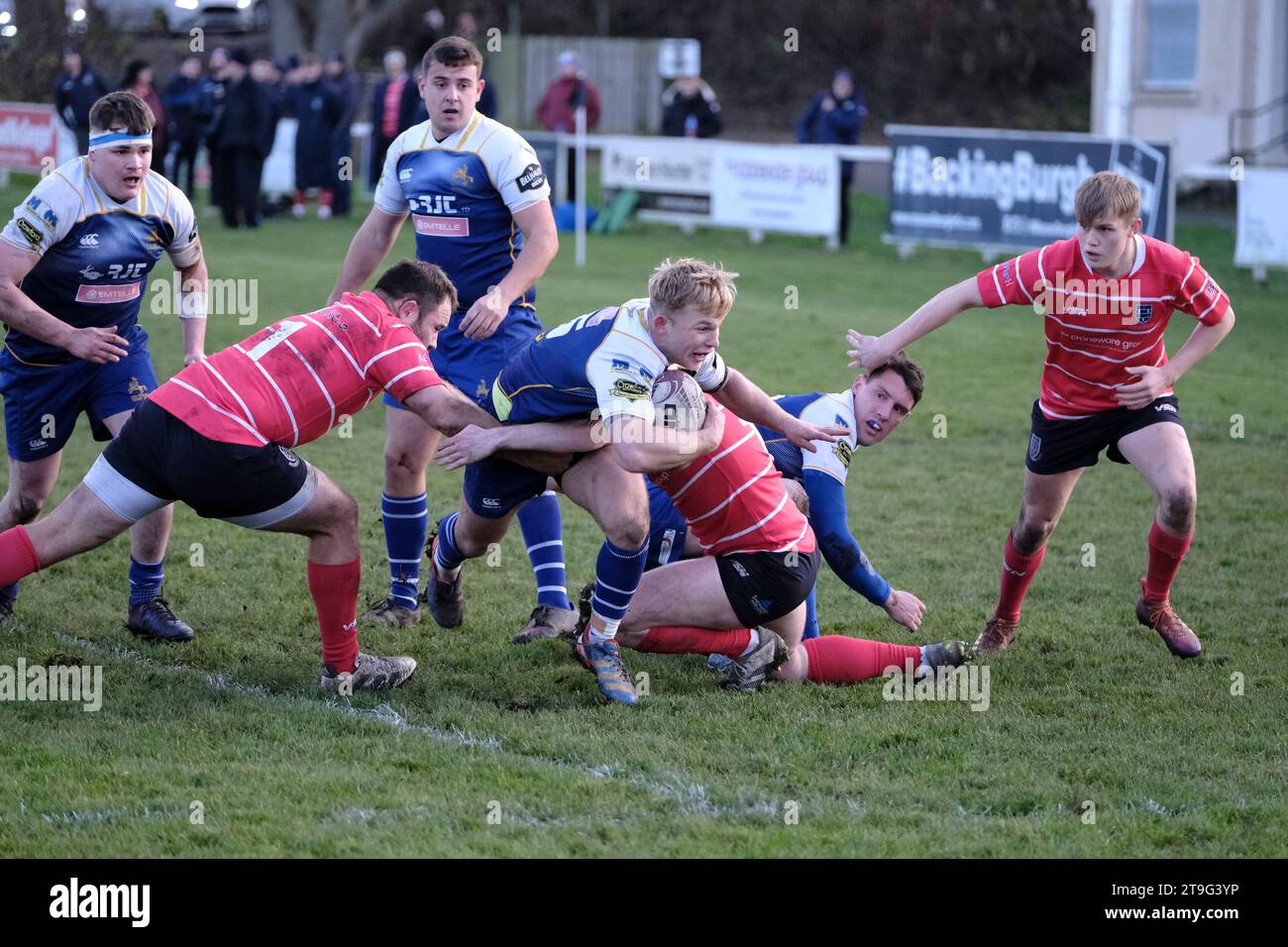 Musselburgh, Regno Unito. 25 novembre 2023. 1Scottish Premiership Rugby il 25 novembre 2023 al Musselburgh RFC, Stoneyhill Park. Musselburgh RFC vs Jedforest RFC tempo parziale 34-10 Mason Cullen (JedForest RFC) con la palla in mano cercando di eludere la difesa di Musselburgh, credito: Rob Gray/Alamy Live News Foto Stock