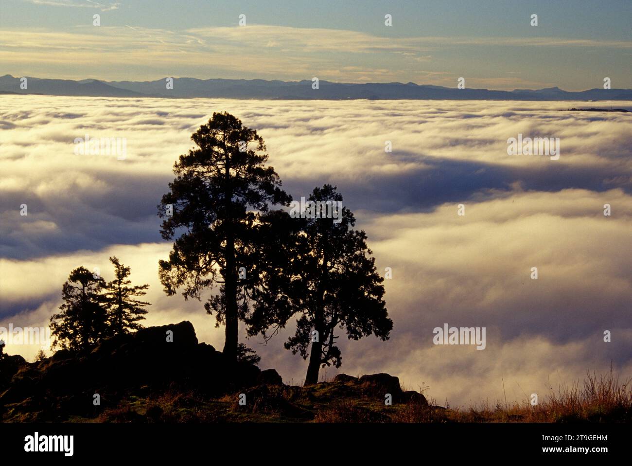 Nebbia a valle da Spencer Butte, Spencer Butte Park, Eugene, Oregon Foto Stock