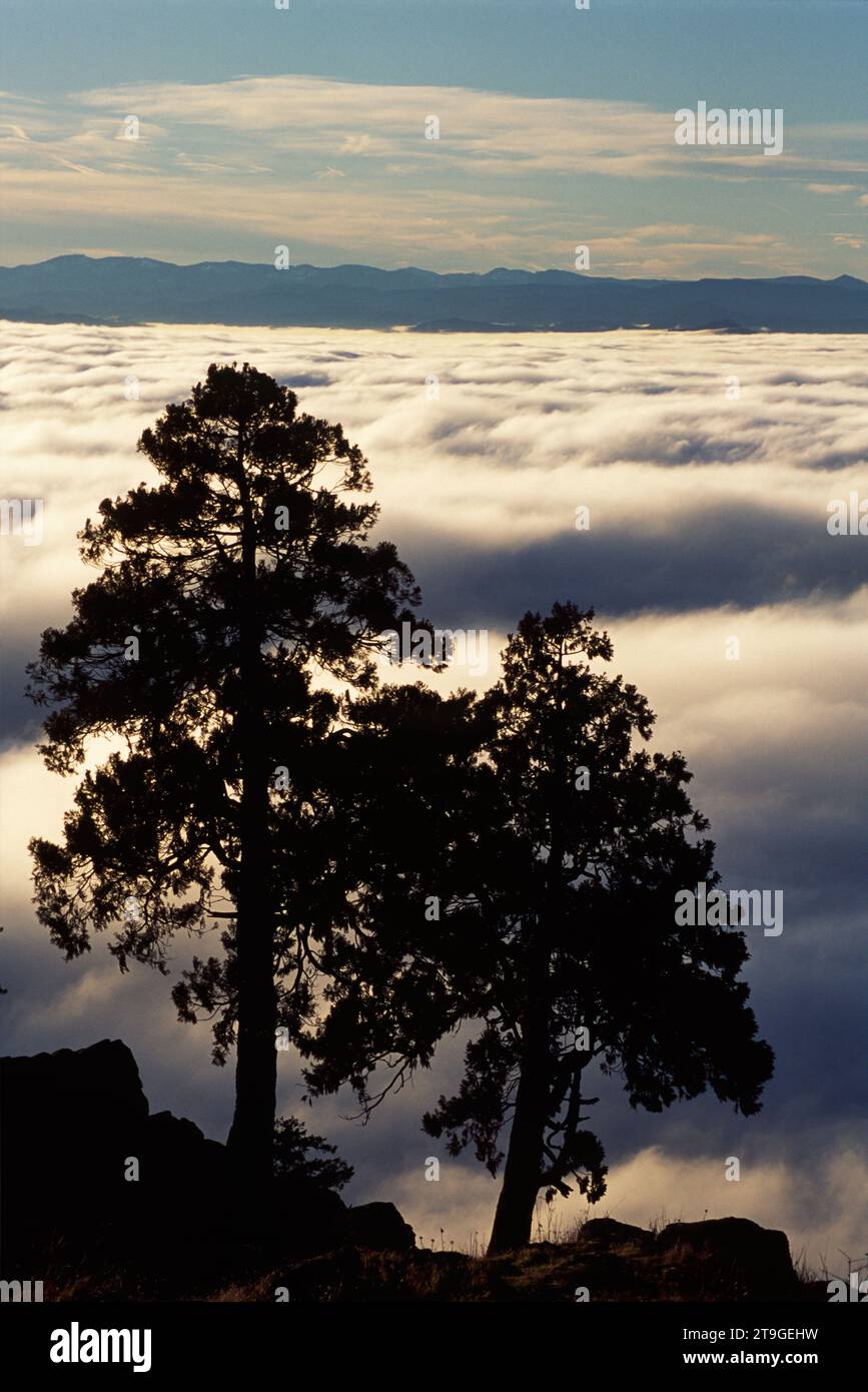 Nebbia a valle da Spencer Butte, Spencer Butte Park, Eugene, Oregon Foto Stock