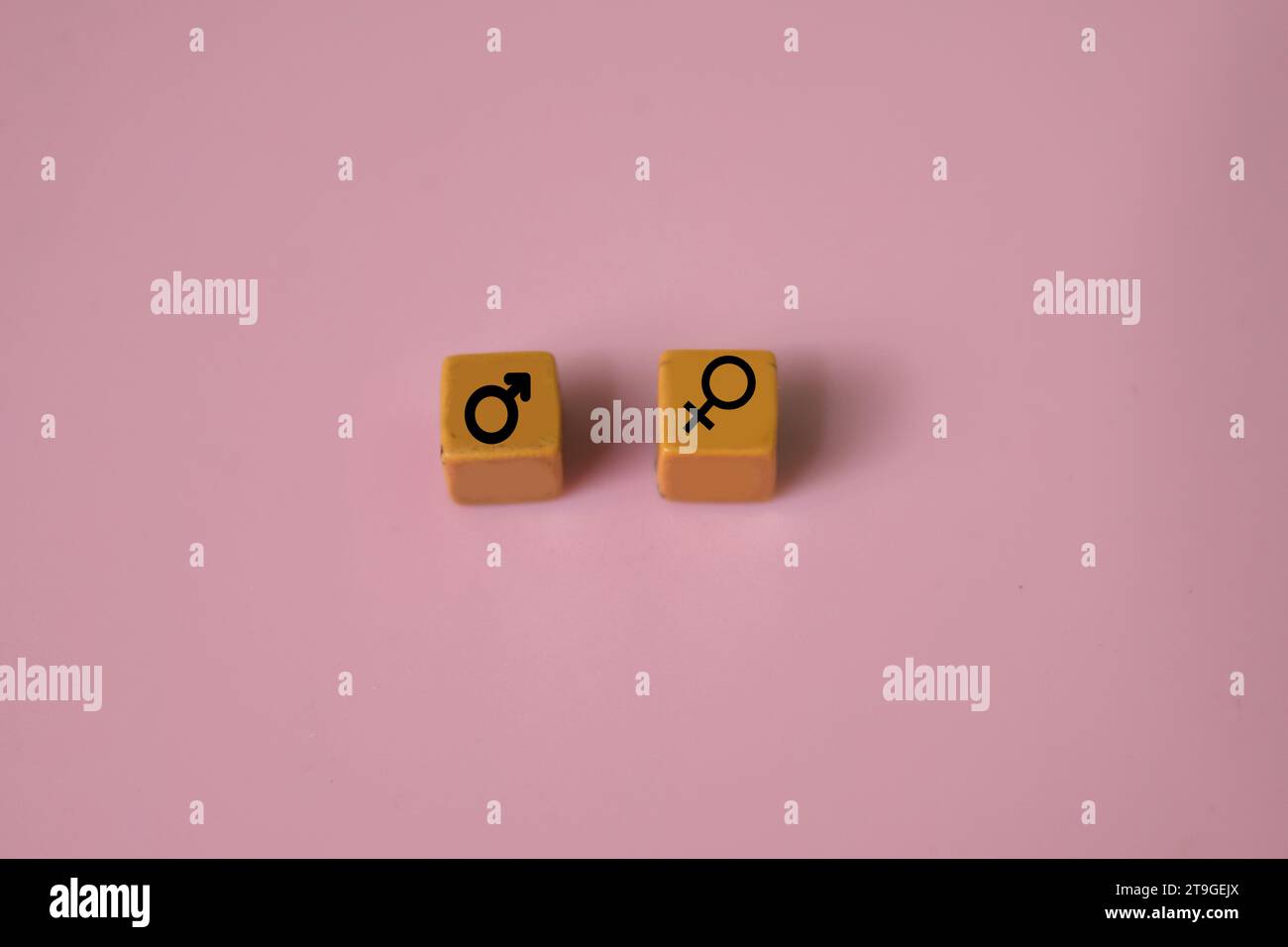 Concetto di simboli icona maschio e femmina su blocco di legno Foto Stock