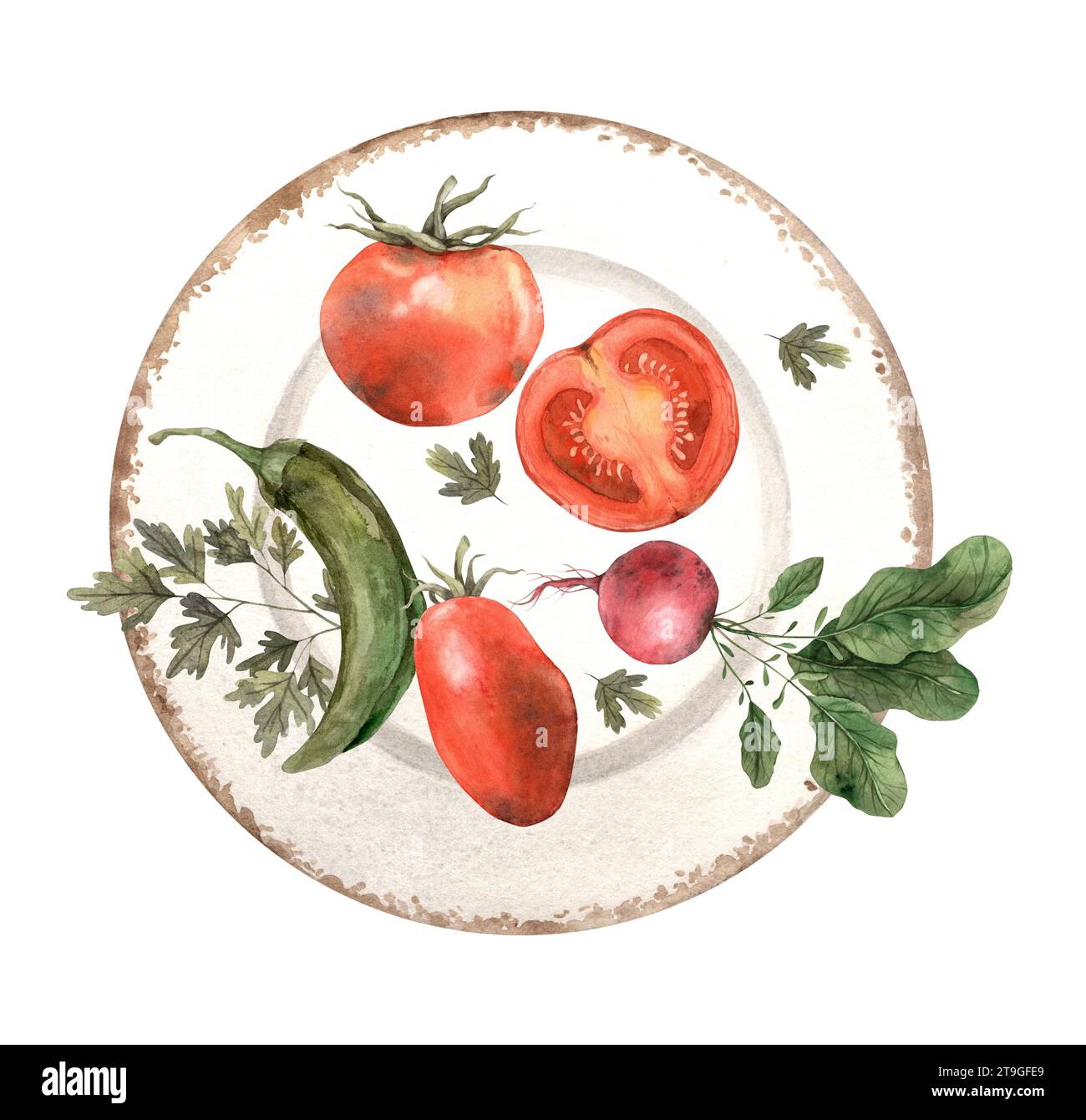 Illustrazione ad acquerello con piatto e verdure: Pomodoro, pepe, ravanello, prezzemolo. Composizione su sfondo bianco. Clipart disegnato a mano utilizzato Foto Stock