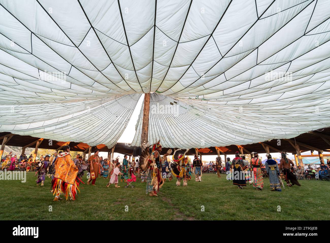 I Tamkaliks hanno una grande sorpresa alla Nasi forata Wallowa Homeland, Wallowa, Oregon. Foto Stock