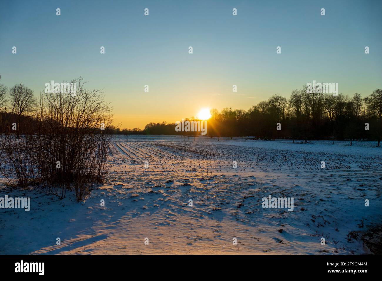 Sonnenuntergang auf einer verschneiten Wiese Nähe Baden-Baden Foto Stock