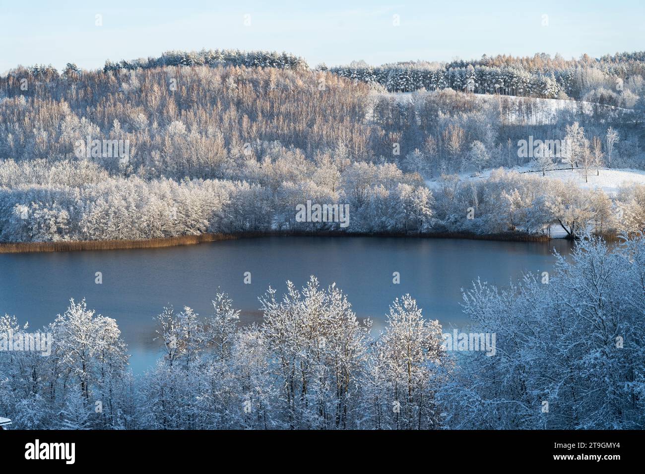 Polonia settentrionale. 25 novembre 2023. Neve © Wojciech Strozyk / Alamy Live News Foto Stock