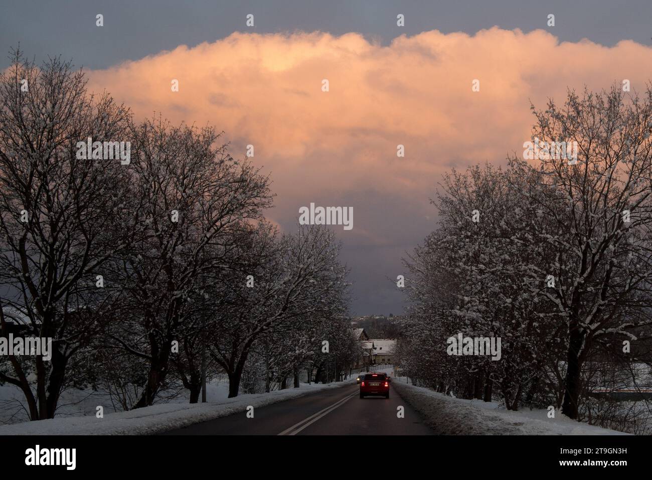 Polonia settentrionale. 25 novembre 2023. Neve © Wojciech Strozyk / Alamy Live News Foto Stock