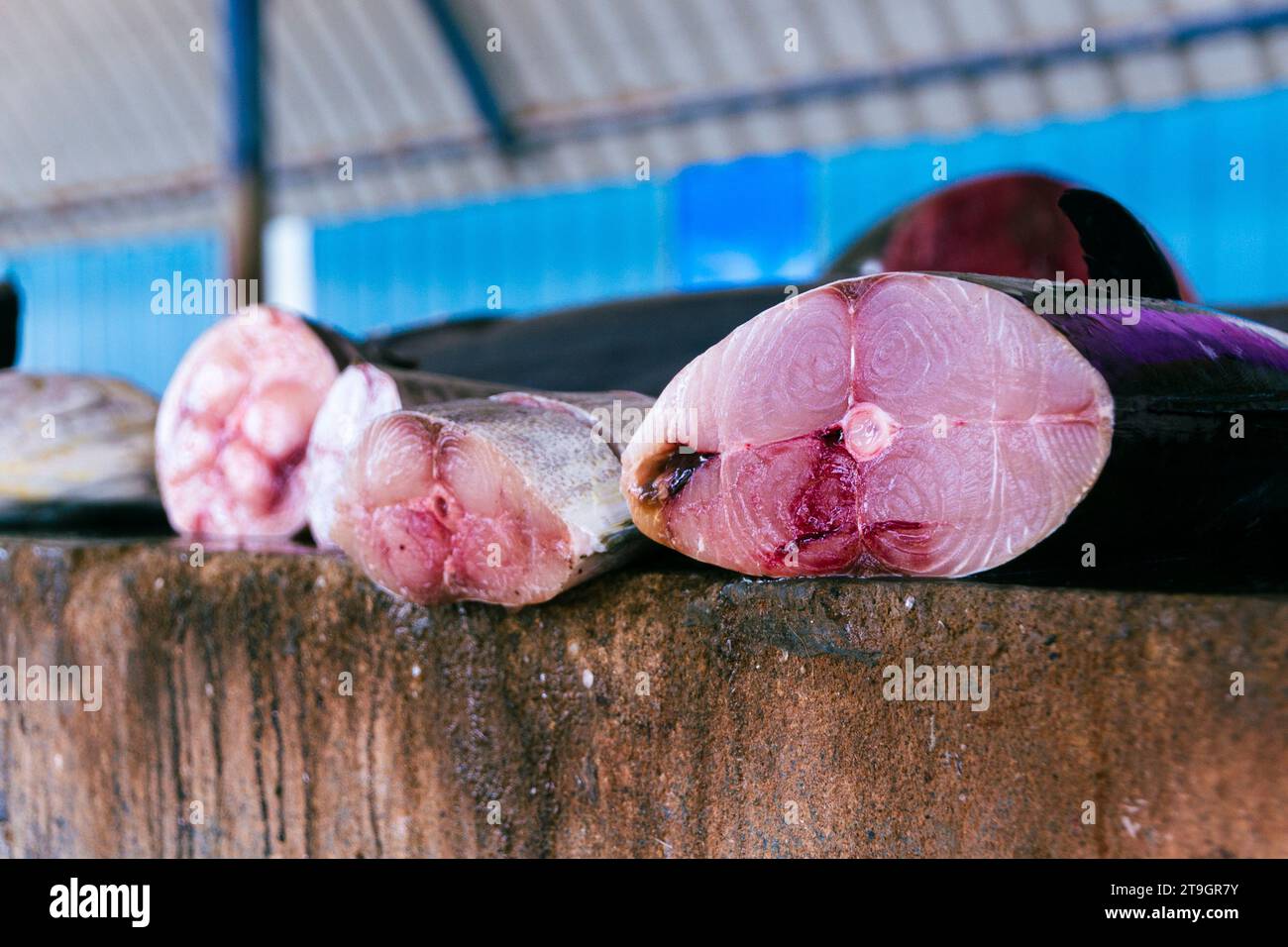 Grossi pezzi di tonno in vendita in una bancarella di mercato a Negombo, nello Sri Lanka Foto Stock