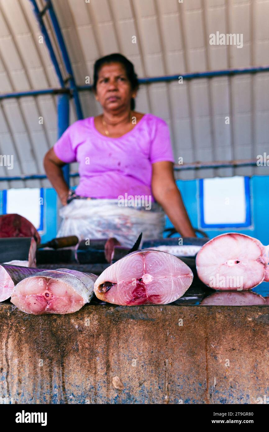 Un venditore vende grossi pezzi di tonno per la vendita in una bancarella di Negombo, nello Sri Lanka Foto Stock