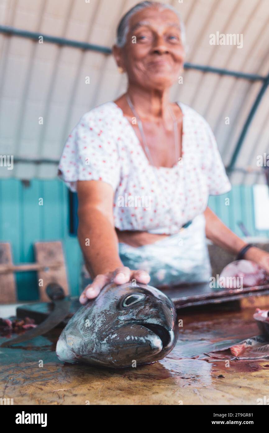 Una donna sorride mentre vende pesce fresco in una bancarella al mercato del pesce di Negombo, Sri Lanka Foto Stock