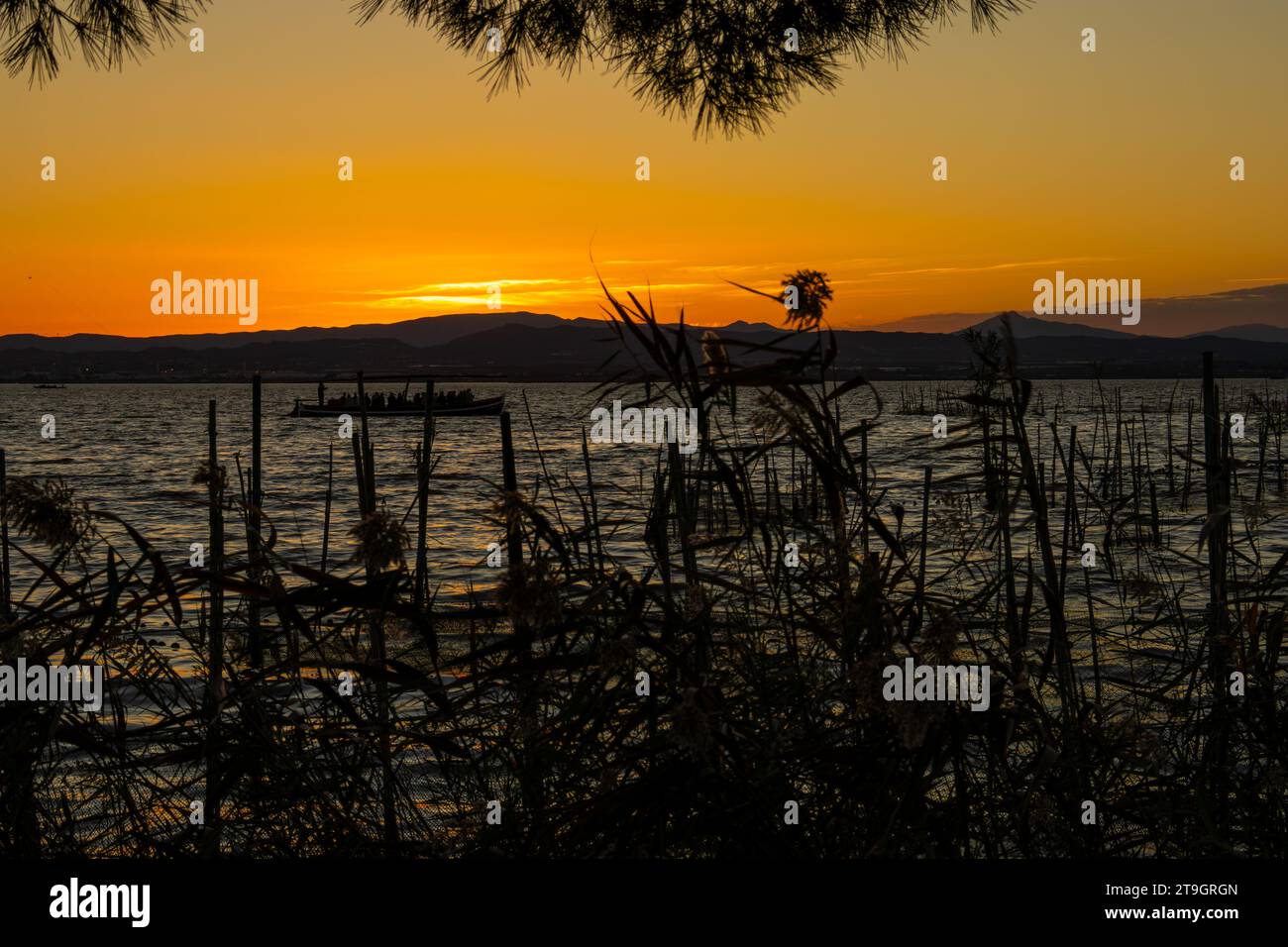 Un bellissimo tramonto sul lago Albufera in Spagna, con un carico di barche di persone che navigano e sul lato sinistro della foto è possibile vedere un ragno che sale Foto Stock