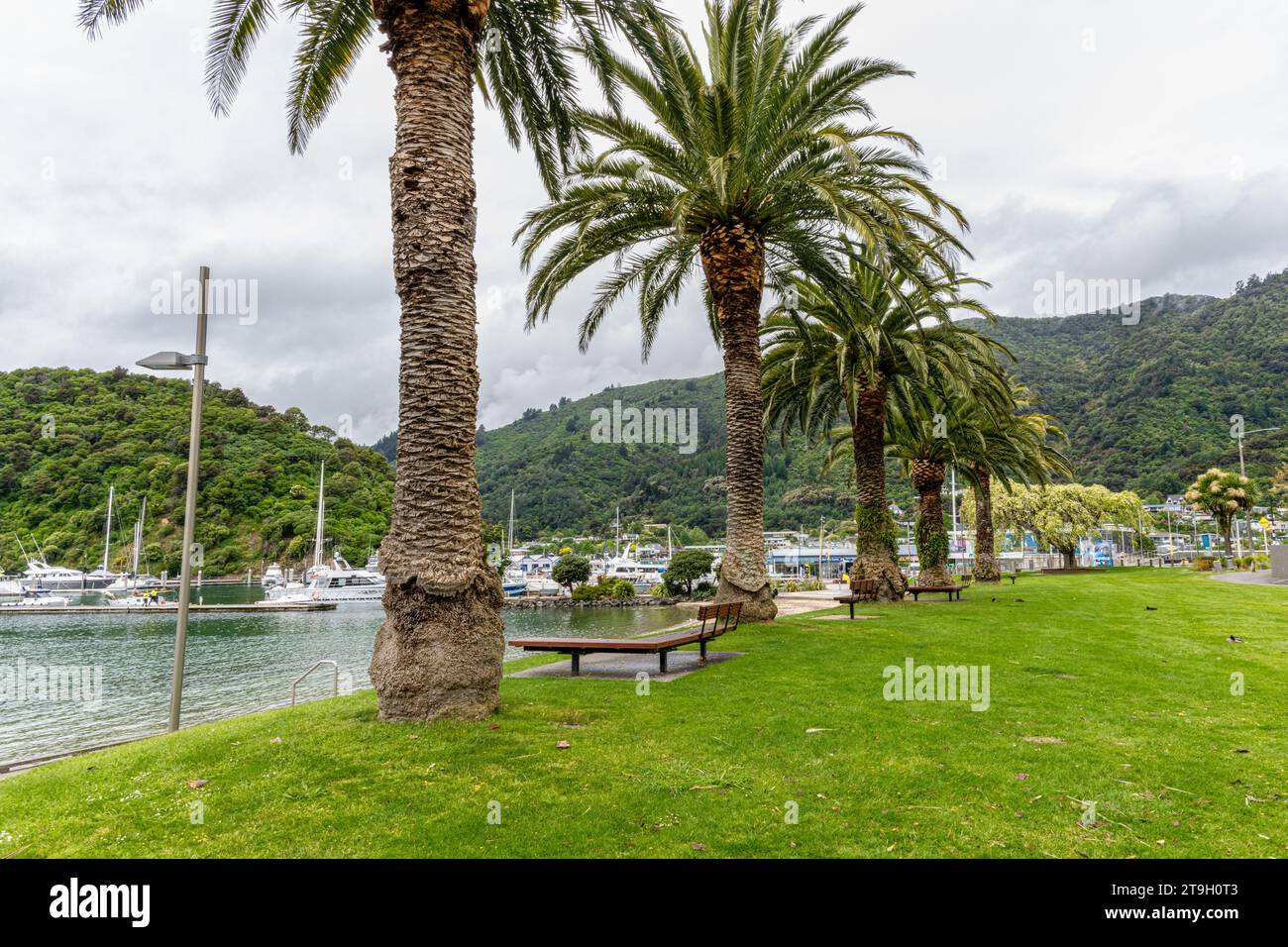 Vista del porto di Pictons dopo aver attraversato il Queen Charlottes Sound sull'Isola Sud della nuova Zelanda Foto Stock