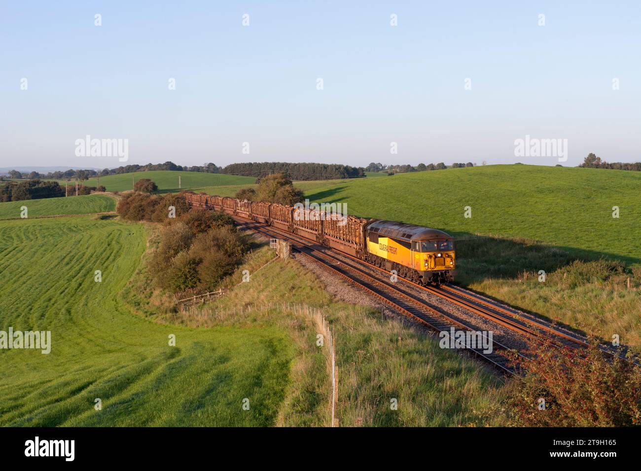 Una locomotiva Colas rail classe 56 a Newsholme, Lancashire, con un treno merci caricato di legname sulla linea ferroviaria Ribble Valley Foto Stock