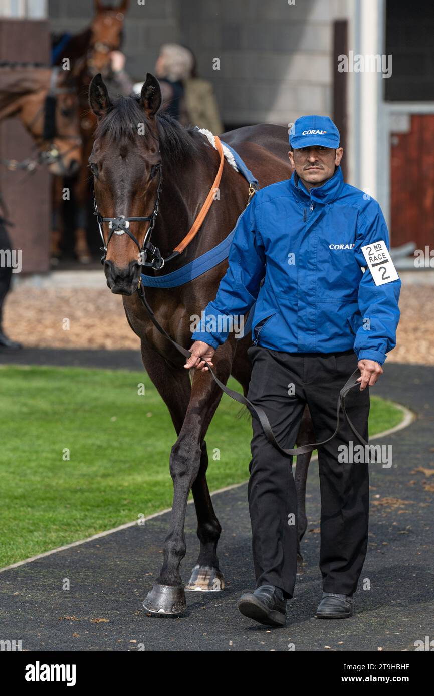 Rectory Oak, vincitore della seconda gara a Wincanton Foto Stock