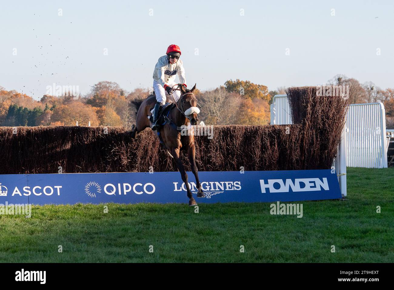 Ascot, Berkshire, Regno Unito. 25 novembre 2023. Chianti Classico (Irlanda) guidato dal fantino David Bass vince il Royal Ascot Racing Club, Limited handicap Steeple Chase, all'Ascot Racecourse di novembre Racing Saturday Meeting. Il proprietario Sir Francis Brooke & R A Pilkington. Allenatore Kim Bailey, Cheltenham. Allevatore David o'Connell. Sponsor Kim Bailey Racing Ltd Credito: Maureen McLean/Alamy Live News Foto Stock