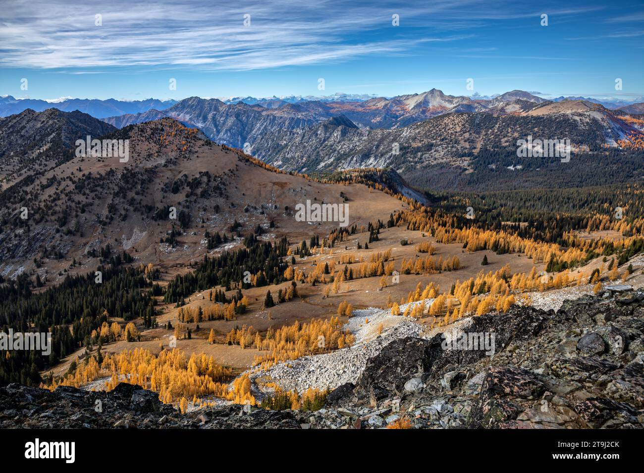 WA23775-00...WASHINGTON - Vista del prato coperto di larice e delle Cascate del Nord dalla cima della Scala dell'Angelo; Okanogan National Forest. Foto Stock