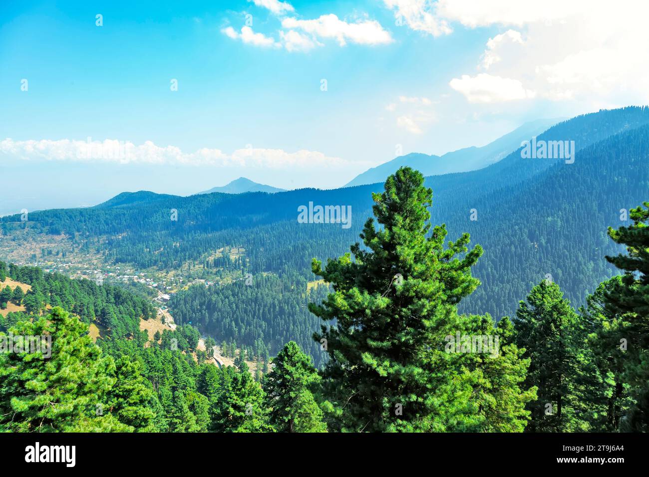 Percorso del progetto energetico Gulmarg, blocco forestale, jammu kashmir, india. Foto Stock