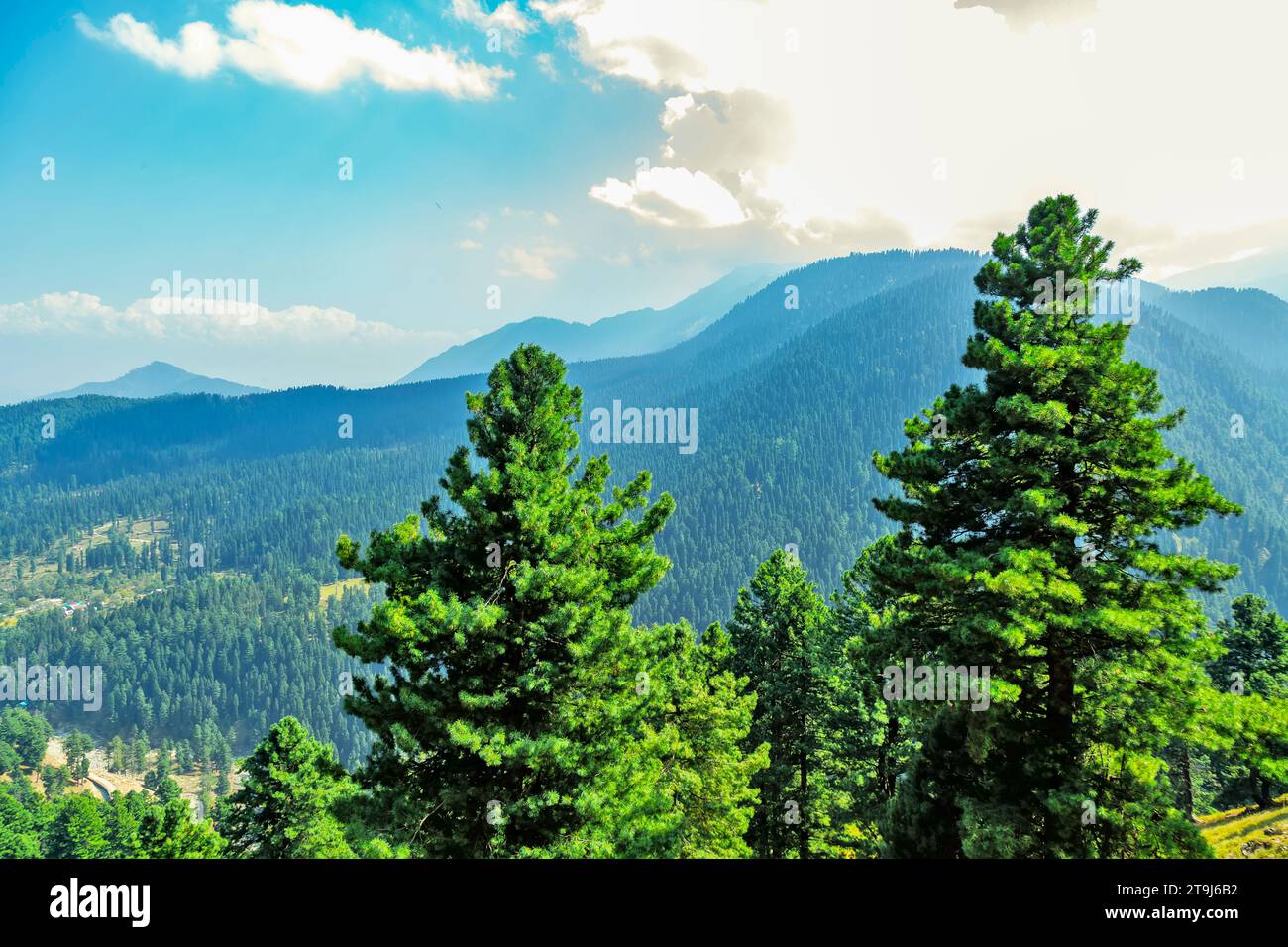 Percorso del progetto energetico Gulmarg, blocco forestale, jammu kashmir, india. Foto Stock