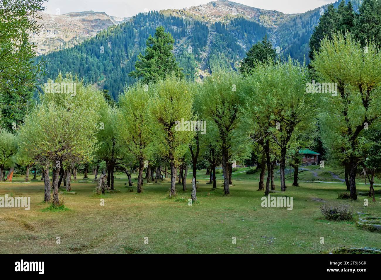 La valle di Betab, precedentemente nota come Hajan o Valle di Hagan, è un luogo turistico vicino a Pehalgam . Foto Stock
