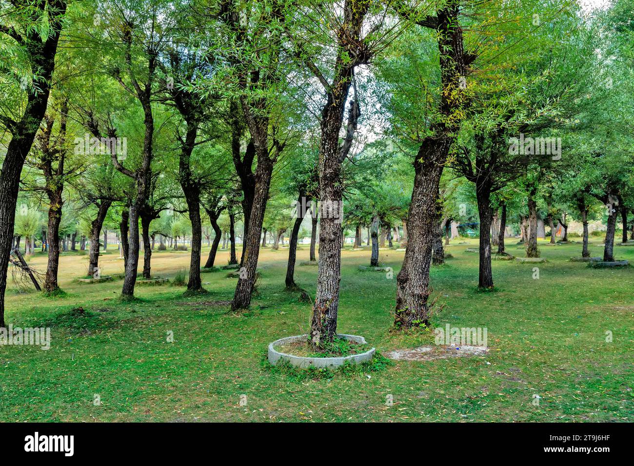 La valle di Betab, precedentemente nota come Hajan o Valle di Hagan, è un luogo turistico vicino a Pehalgam . Foto Stock