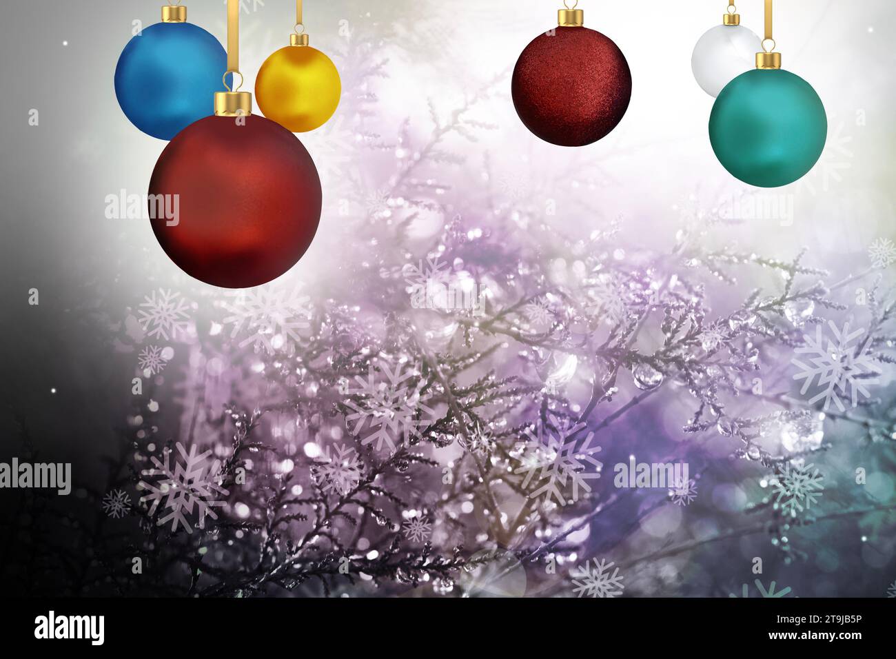 Palla di natale appesa su sfondo sfocato di pino con gocce di neve di colore sfumato. Foto Stock