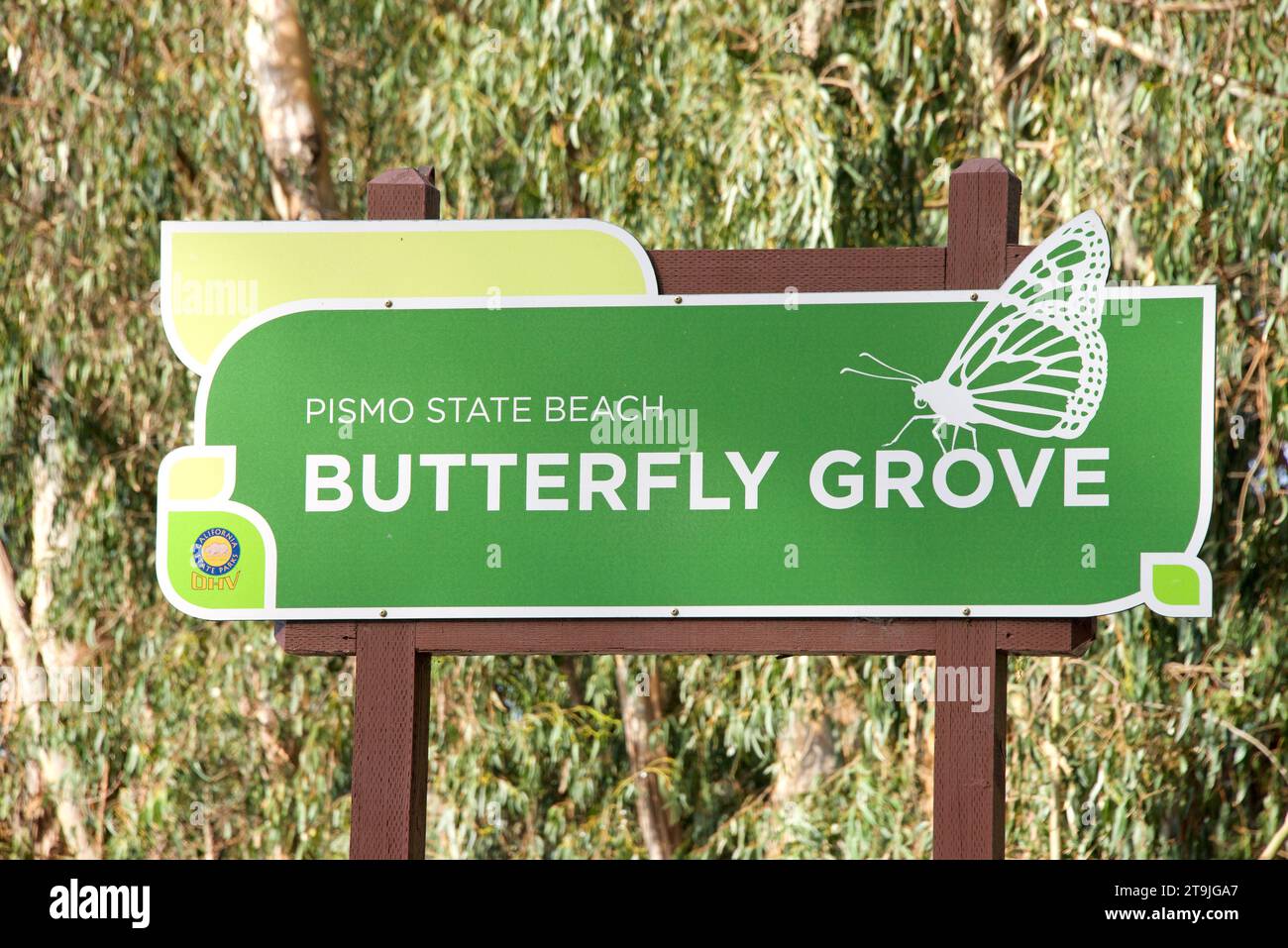 Pismo Beach, CA - 18 dicembre 2022: Cartello presso Pismo State Beach Monarch Butterfly Grove. Boschetto pieno di alberi di eucalipto con migliaia di monarchi di burro Foto Stock