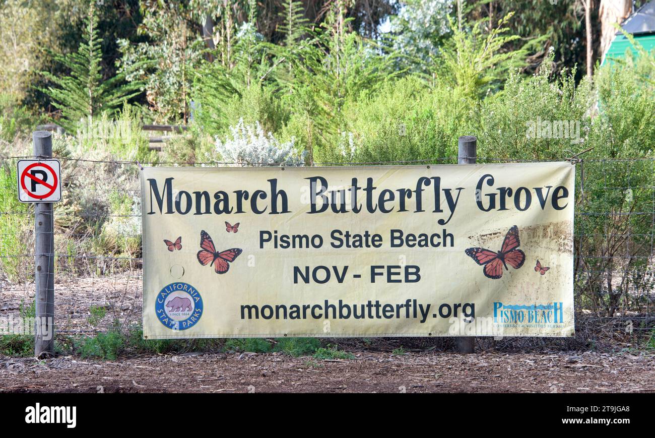 Pismo Beach, CA - 18 dicembre 2022: Cartello presso Pismo State Beach Monarch Butterfly Grove. Boschetto pieno di alberi di eucalipto con migliaia di monarchi di burro Foto Stock