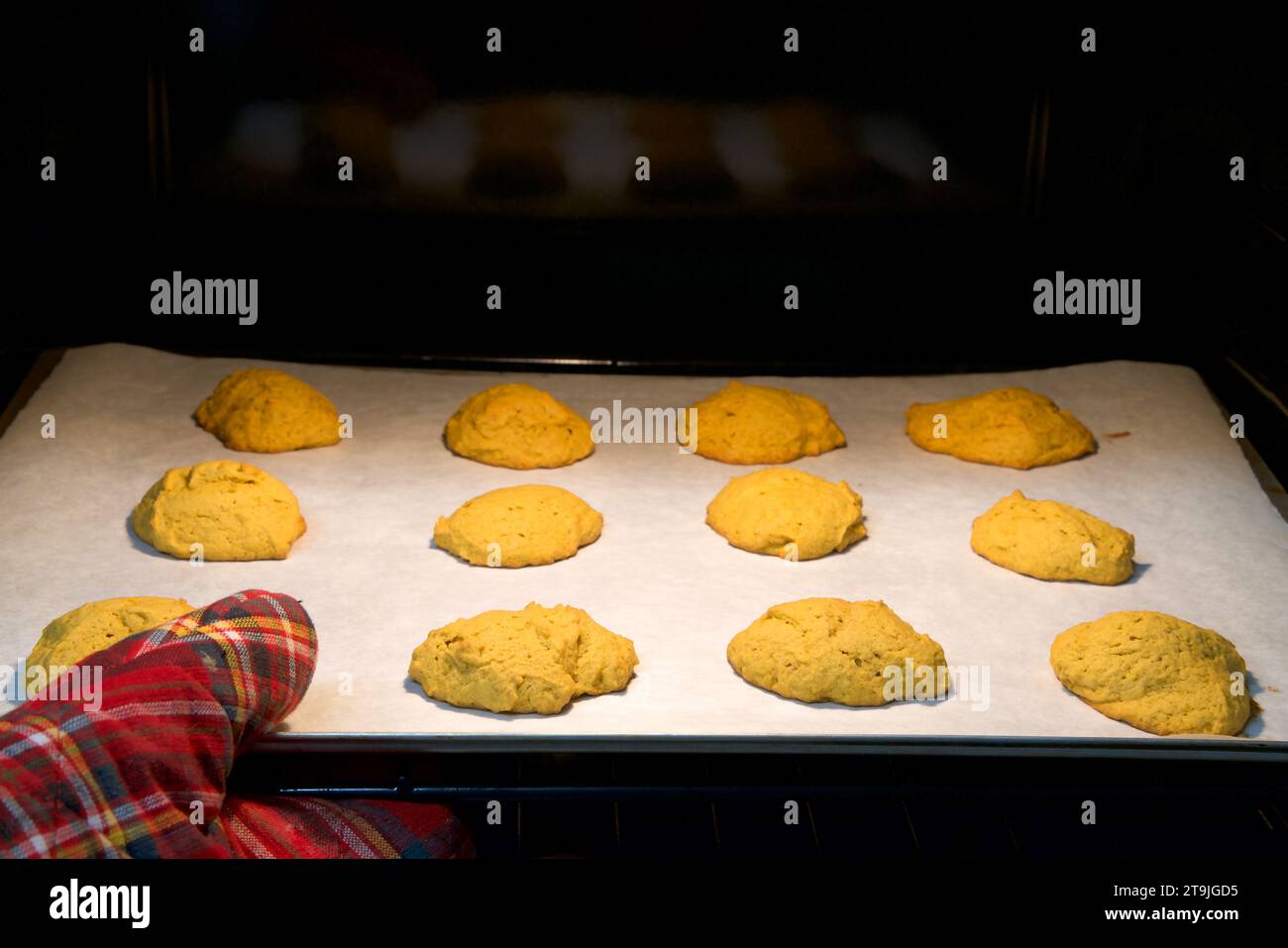 Guanti rossi da forno che tirano la teglia dal forno caldo con biscotti alla zucca appena sfornati. Foto Stock