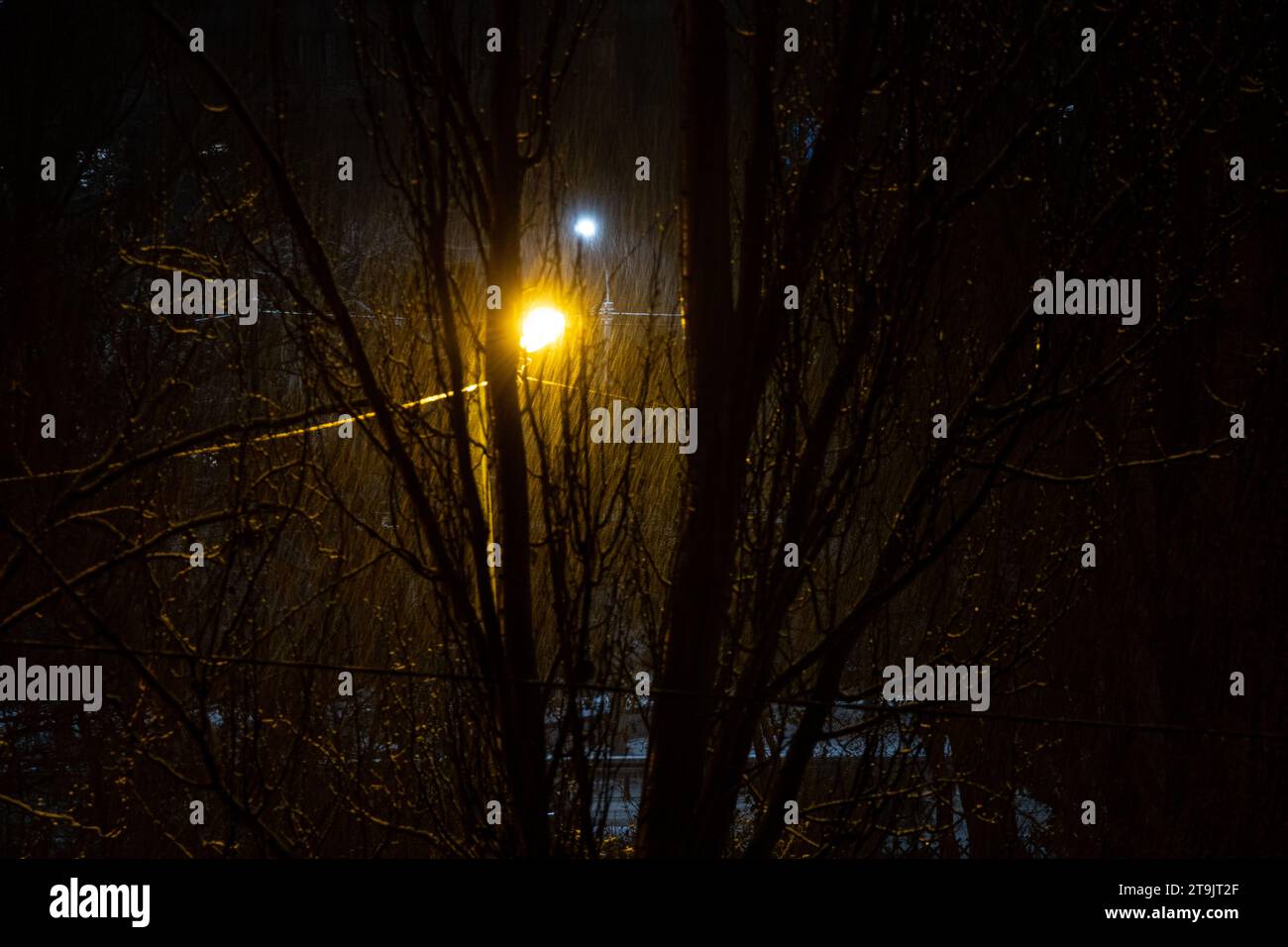 Luce delle lanterne e alberi sulla strada in un'area residenziale della città di Dnipro in Ucraina in un clima serale innevato, nevicate in inverno in città Foto Stock