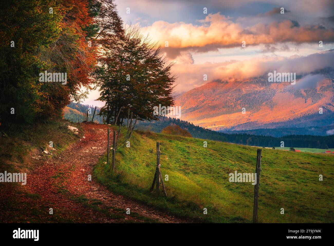 Paesaggio di campagna autunnale sull'altopiano del Cansiglio al tramonto. Strada con alberi autunnali e foglie in primo piano, prati e montagne sullo sfondo Foto Stock