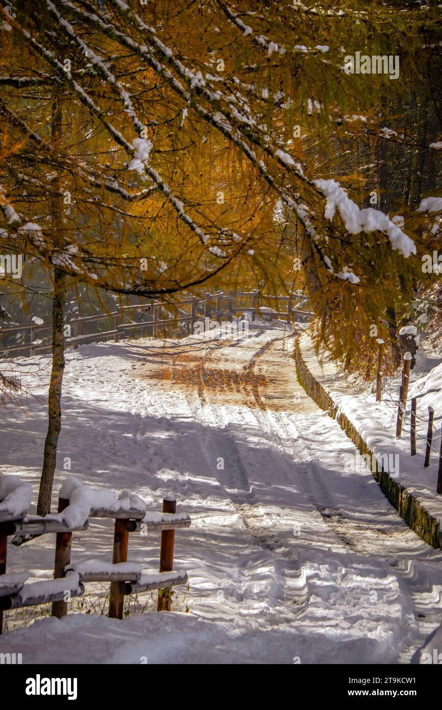 Prima neve sulle montagne italiane Foto Stock