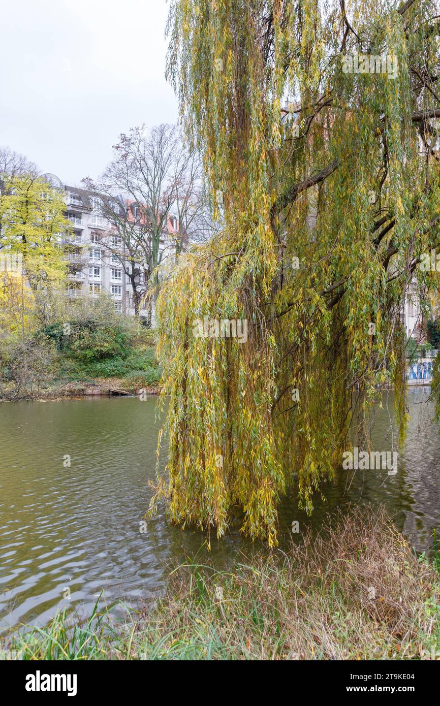 Parco Litzensee, autunno, Charlottenburg, Berlino Foto Stock