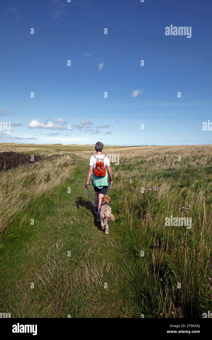 Donna che cammina con un cane sulla Holy Island di Lindisfarne, Northumberland, Regno Unito Foto Stock
