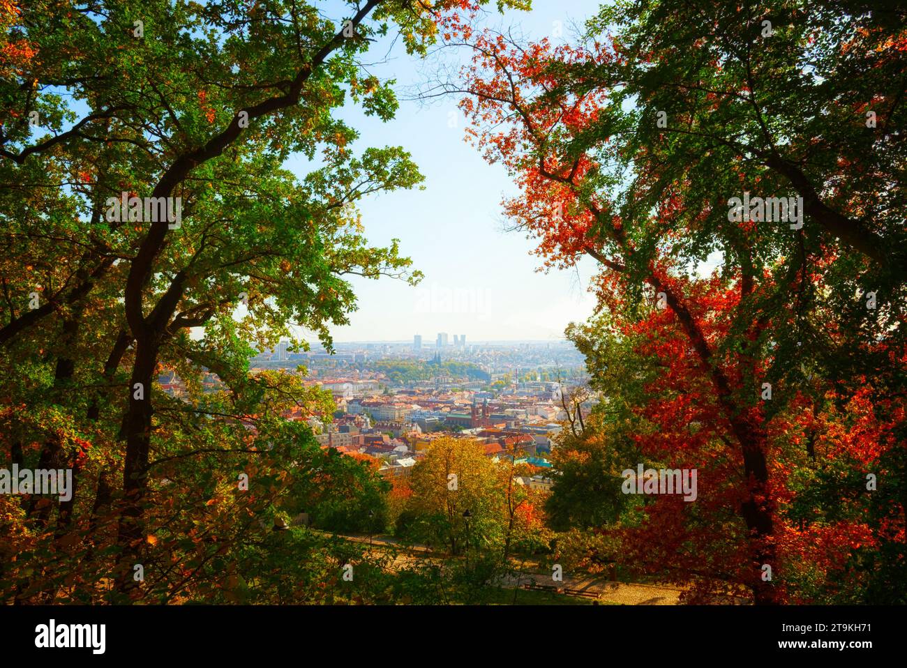 Un paesaggio urbano in autunno con alberi colorati in primo piano e edifici sullo sfondo. Vista di Praga attraverso i rami degli alberi autunnali. Foto Stock