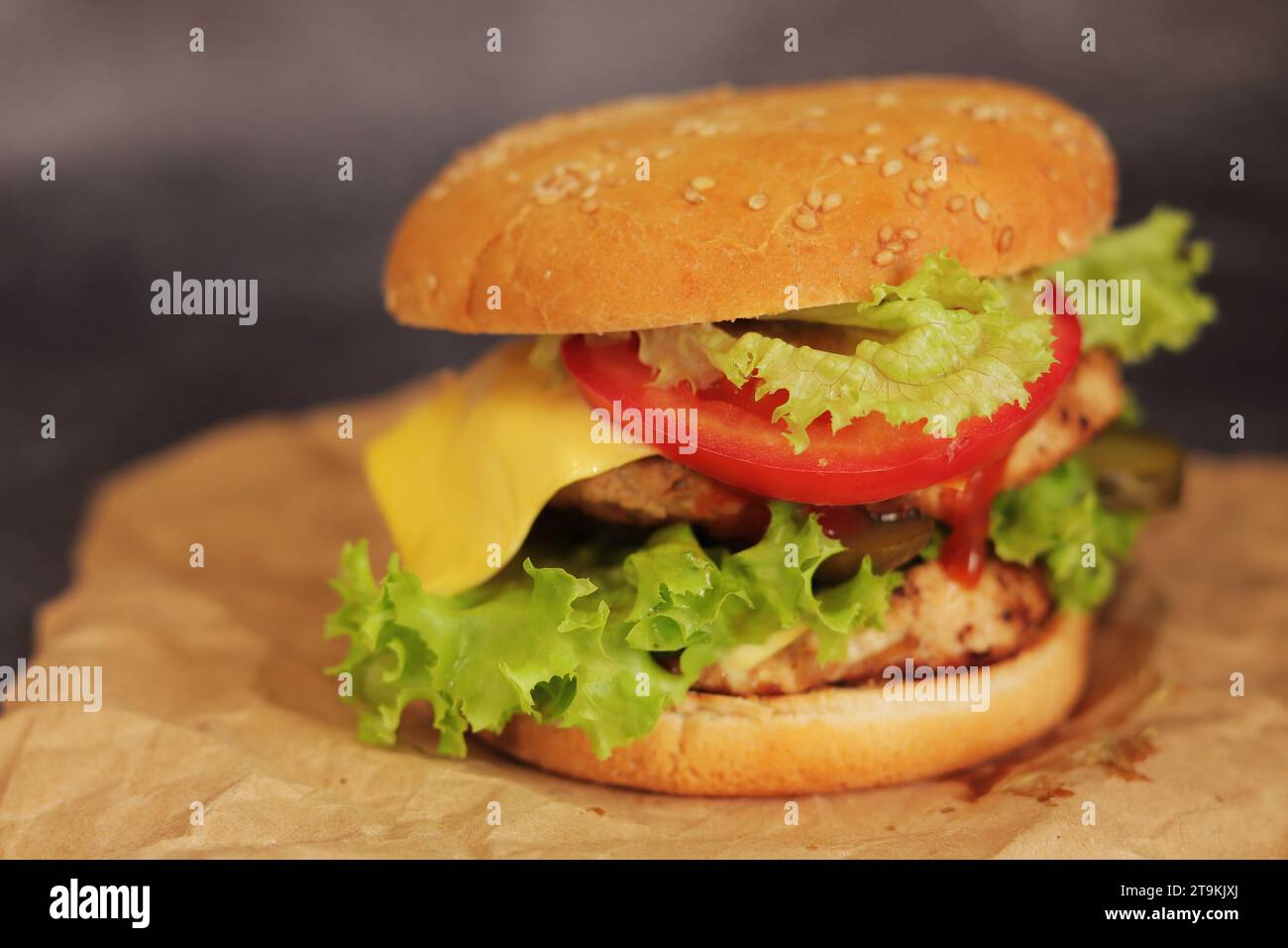 Doppio cheeseburger su sfondo grigio. Succulento e gustoso hamburger da vicino, vista laterale. Fast food Foto Stock